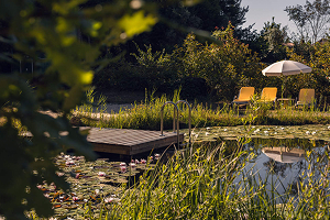 CP-piscina1-1_Easy-Resize.com 1